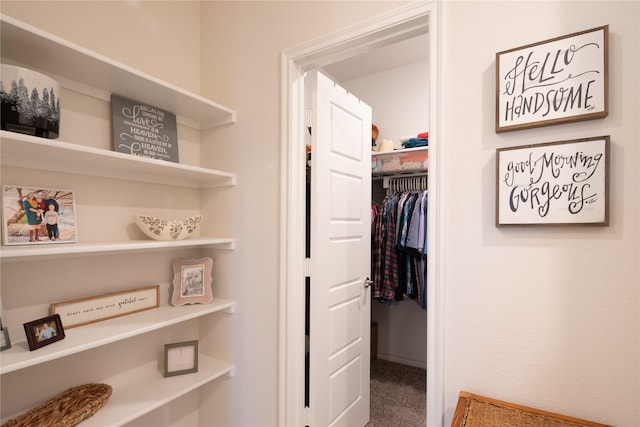 walk in closet featuring carpet floors