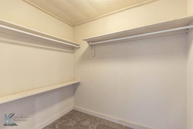 spacious closet with carpet floors