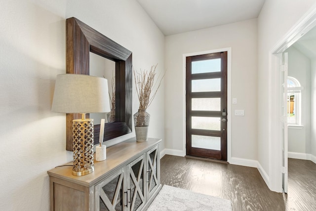 entrance foyer with baseboards and wood finished floors