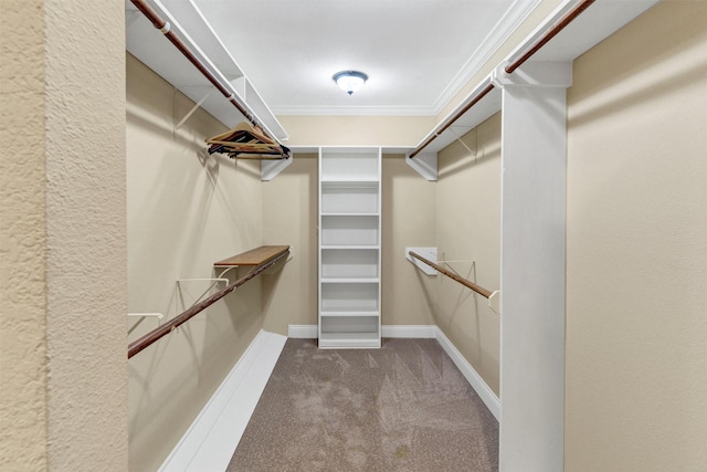 spacious closet featuring carpet floors