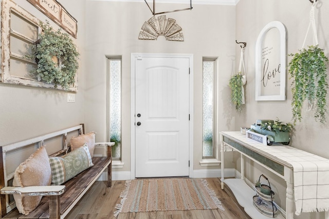 entrance foyer with baseboards and wood finished floors