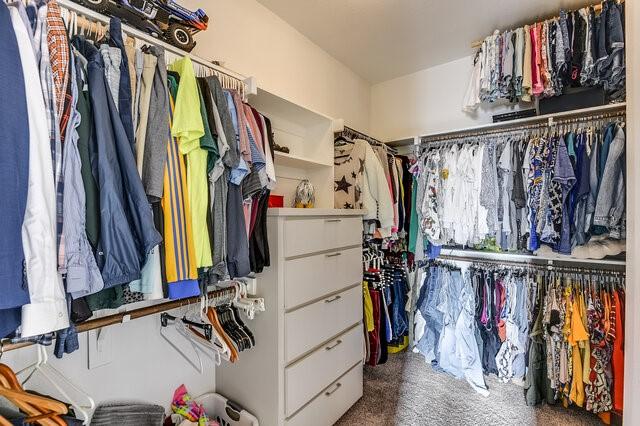 spacious closet with carpet floors