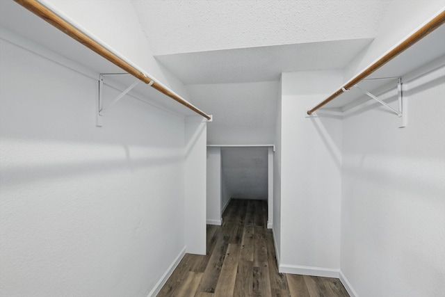 spacious closet with wood finished floors