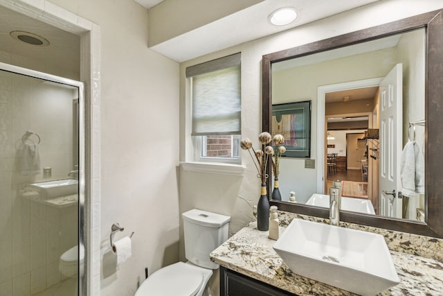 full bathroom with toilet, a shower stall, and vanity