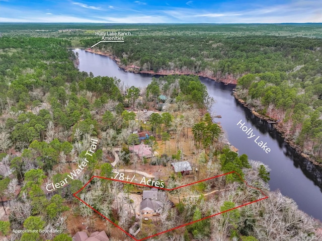 bird's eye view with a water view and a wooded view