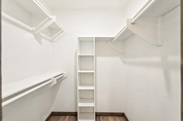 spacious closet with dark wood-style flooring