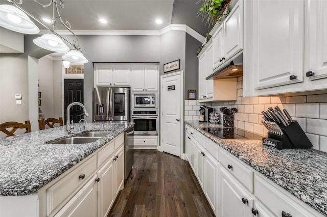 kitchen featuring dark wood-type flooring, a sink, appliances with stainless steel finishes, tasteful backsplash, and crown molding