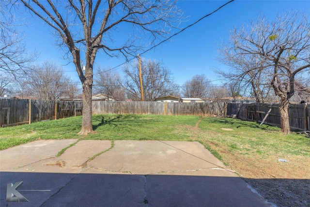 view of yard with a patio area and a fenced backyard