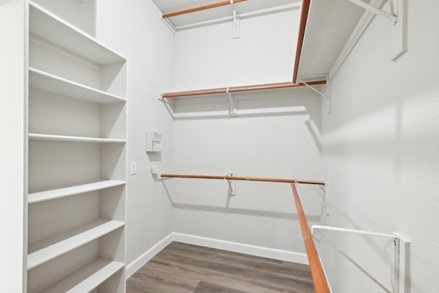 walk in closet featuring wood finished floors