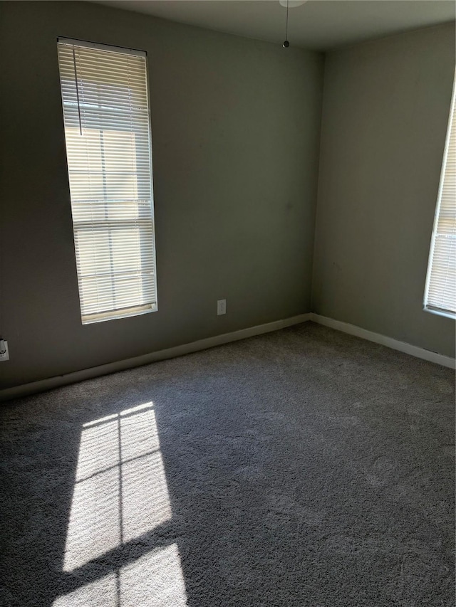 unfurnished room featuring carpet flooring, a wealth of natural light, and baseboards