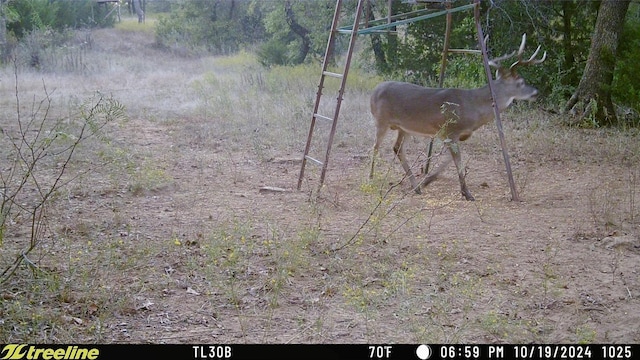 TBD 6-t Rd, Bowie, TX 76230