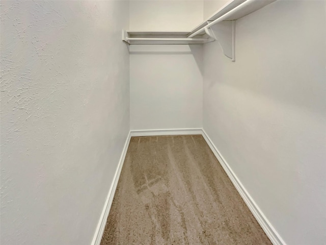 walk in closet with carpet floors