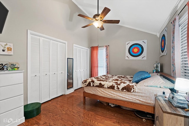 bedroom featuring lofted ceiling, two closets, ceiling fan, and wood finished floors