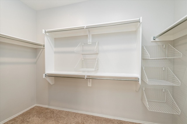 walk in closet with carpet