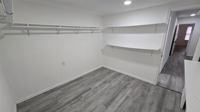 walk in closet with wood finished floors