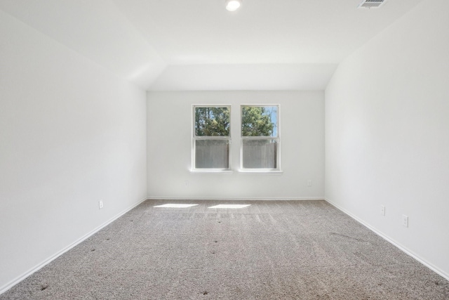 additional living space with carpet flooring, visible vents, and baseboards