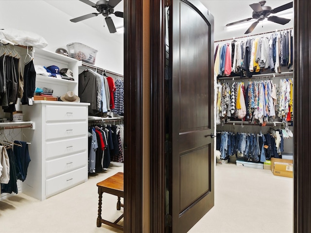 walk in closet with a ceiling fan and carpet