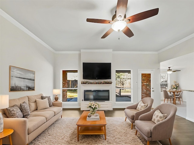 living room featuring ceiling fan, ornamental molding, wood finished floors, and a glass covered fireplace