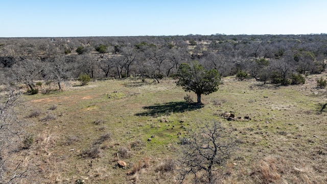 Listing photo 3 for TBD Stagecoach Trail, Gordon TX 76453