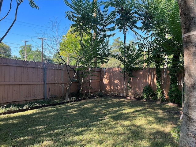 view of yard featuring a fenced backyard