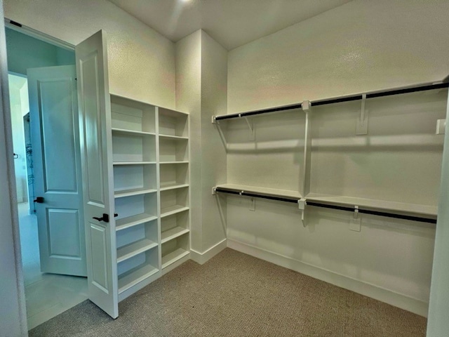 spacious closet with carpet flooring