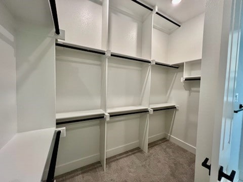 walk in closet with light carpet