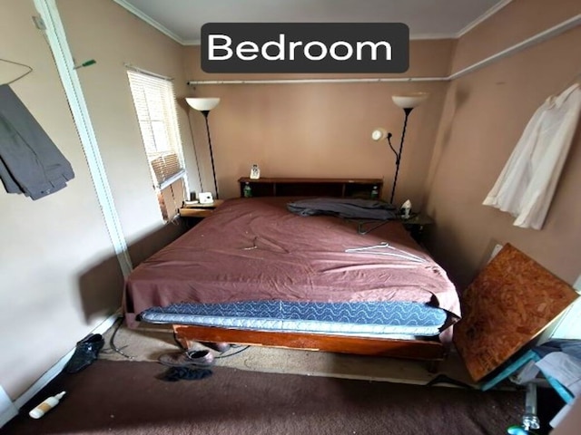 bedroom featuring ornamental molding