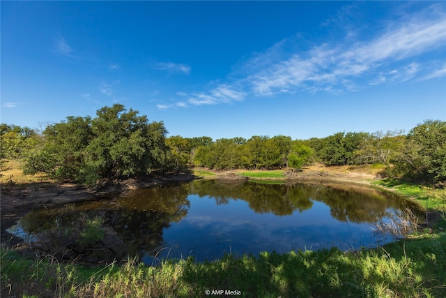 451 County Road 4975, Desdemona TX, 76445 land for sale