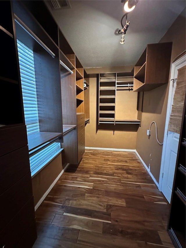 spacious closet featuring visible vents and dark wood-type flooring