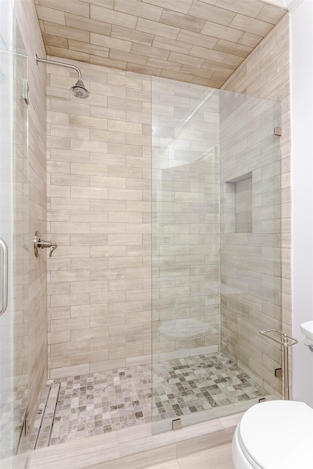 bathroom with a stall shower and toilet