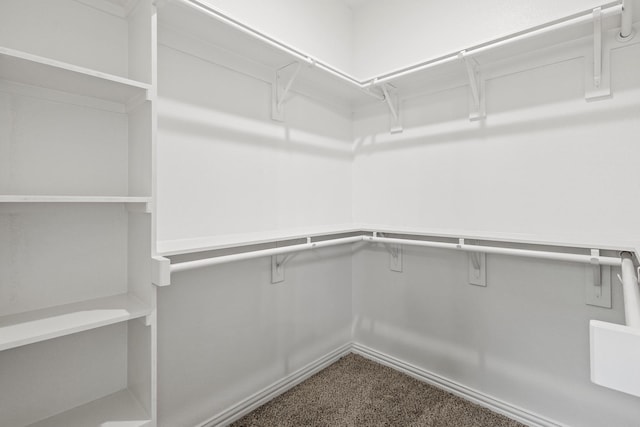 spacious closet with dark carpet