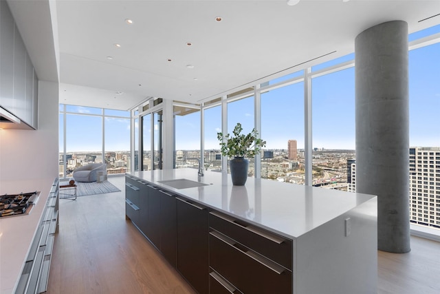 kitchen with modern cabinets, open floor plan, light wood-type flooring, floor to ceiling windows, and a sink