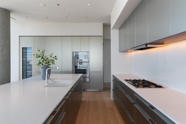 kitchen featuring light wood-style flooring, modern cabinets, appliances with stainless steel finishes, and a sink