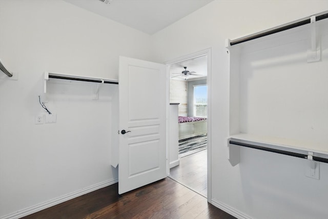 walk in closet featuring dark wood-style floors