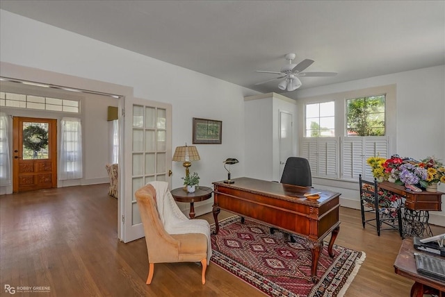 office space featuring a ceiling fan, a wealth of natural light, and wood finished floors