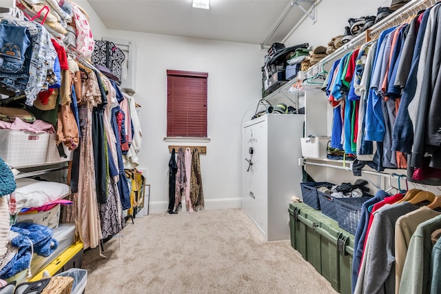 2807 Millington Dr, Highland Village, TX 75077 - walk in closet featuring carpet