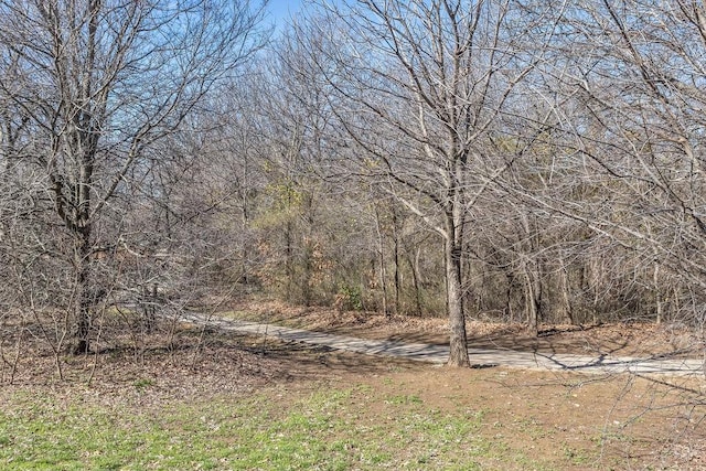 view of yard featuring a view of trees