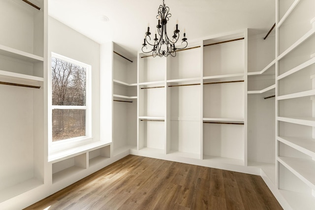 walk in closet featuring an inviting chandelier and wood finished floors