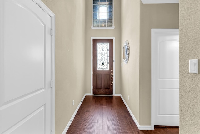 entryway featuring dark wood-style floors, plenty of natural light, and baseboards