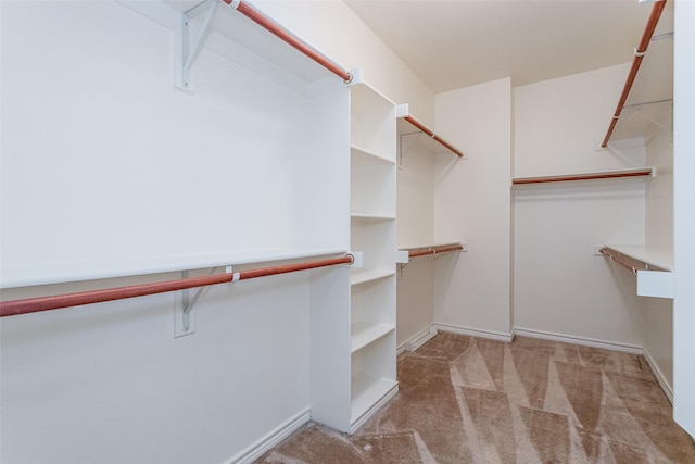 walk in closet featuring carpet