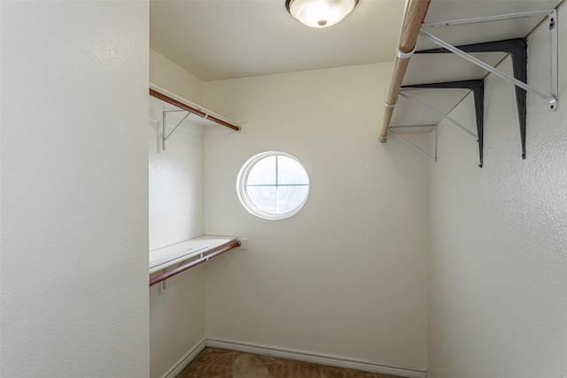 spacious closet with carpet