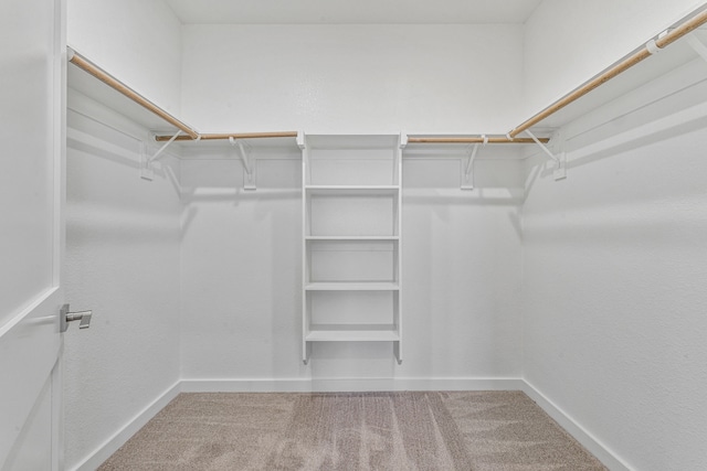 walk in closet with carpet