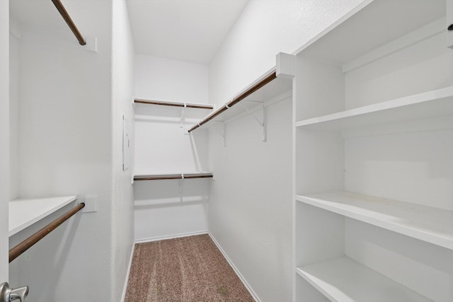 spacious closet featuring carpet