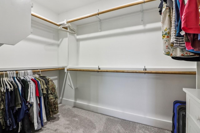 spacious closet featuring carpet flooring