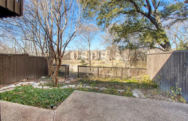 view of yard featuring a fenced backyard and a patio