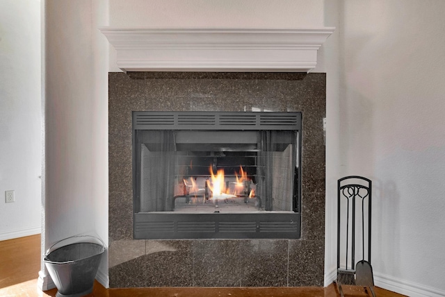 details featuring a lit fireplace and baseboards