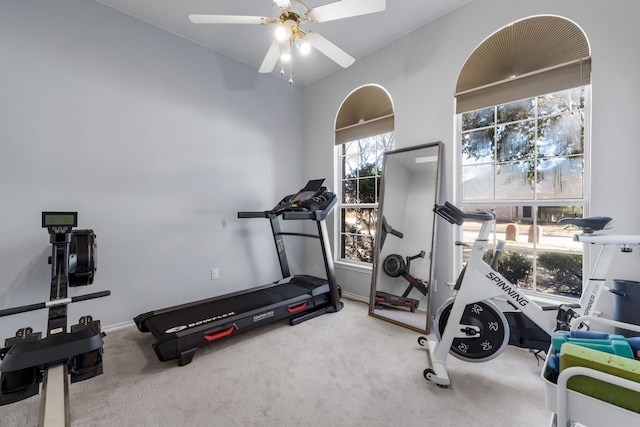 exercise area featuring carpet, baseboards, and ceiling fan