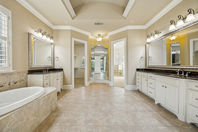 2161 Meadow View Dr, Prosper, TX 75078 - bathroom featuring ornamental molding, vanity, and a bath