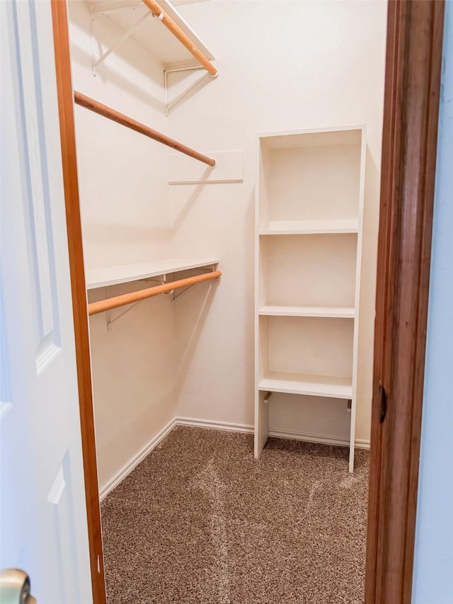 walk in closet with carpet