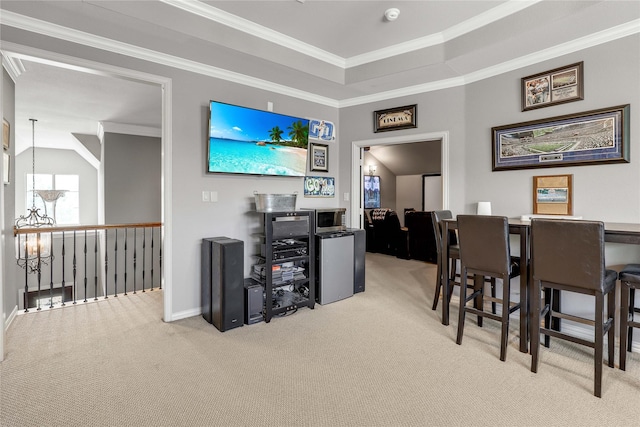 interior space with a raised ceiling, carpet flooring, and crown molding